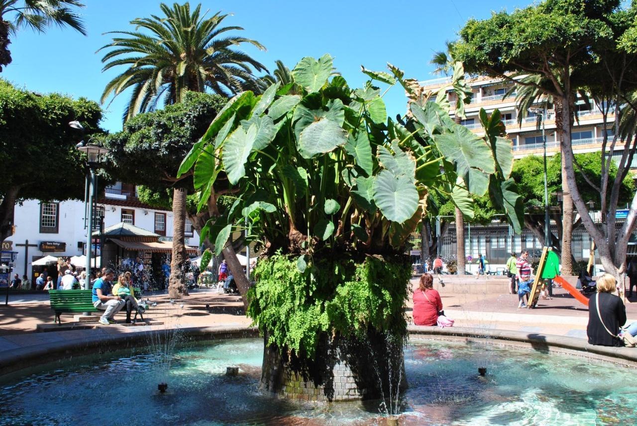 Durazno Tropical Apartment Puerto De La Cruz Extérieur photo
